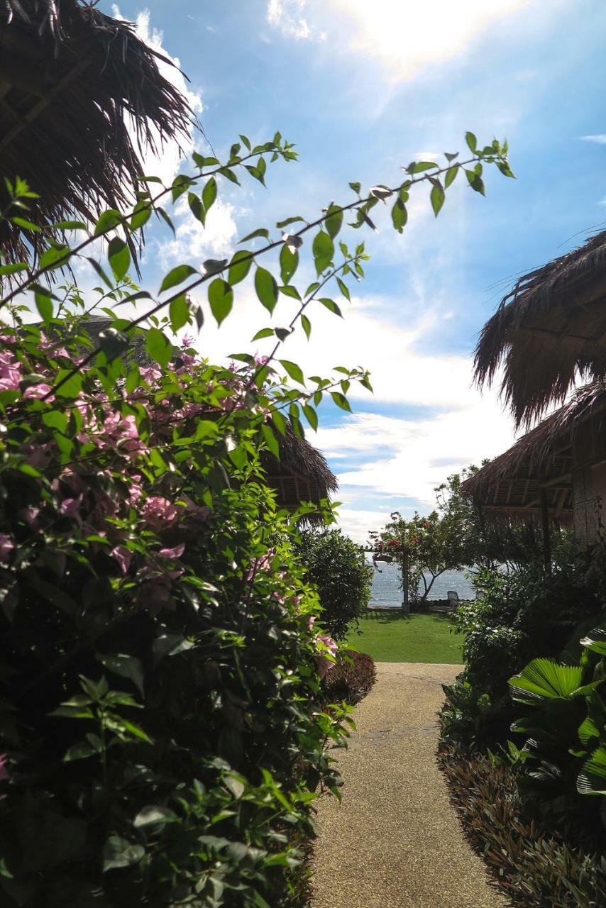 Liquid Dive Resort Dauin Exterior foto